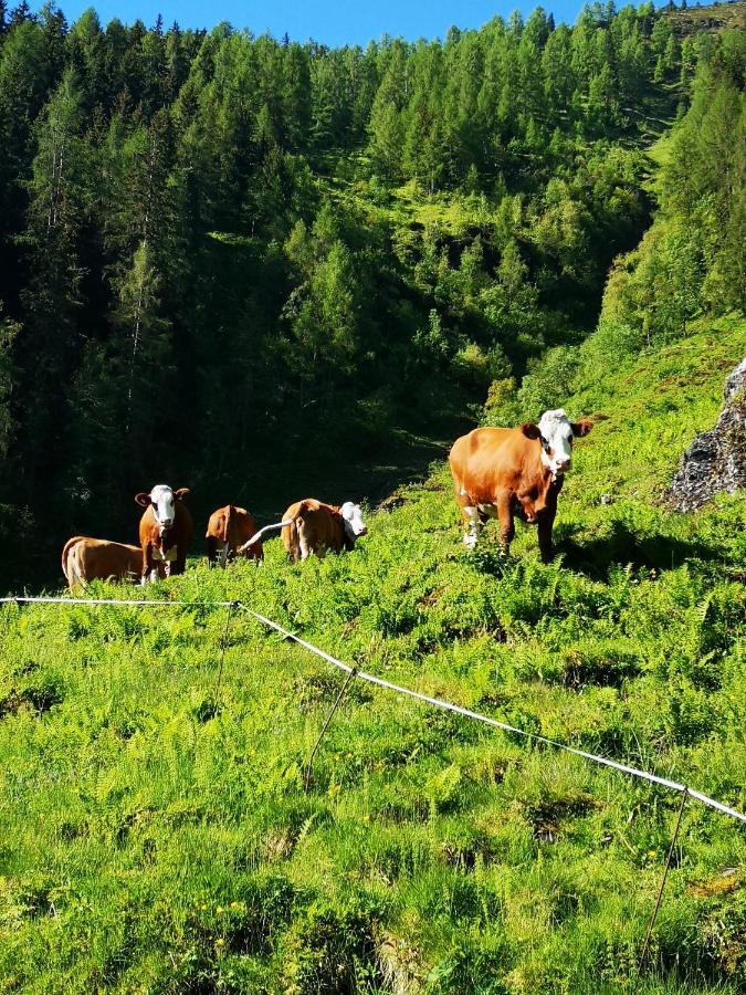 Ferienwohnung Bauernhof Obererlach Bramberg am Wildkogel Exterior foto