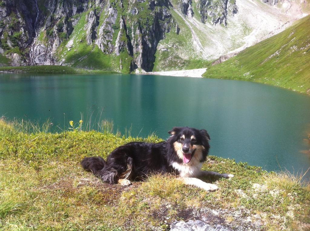 Ferienwohnung Bauernhof Obererlach Bramberg am Wildkogel Exterior foto