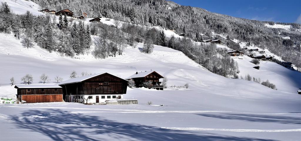 Ferienwohnung Bauernhof Obererlach Bramberg am Wildkogel Exterior foto
